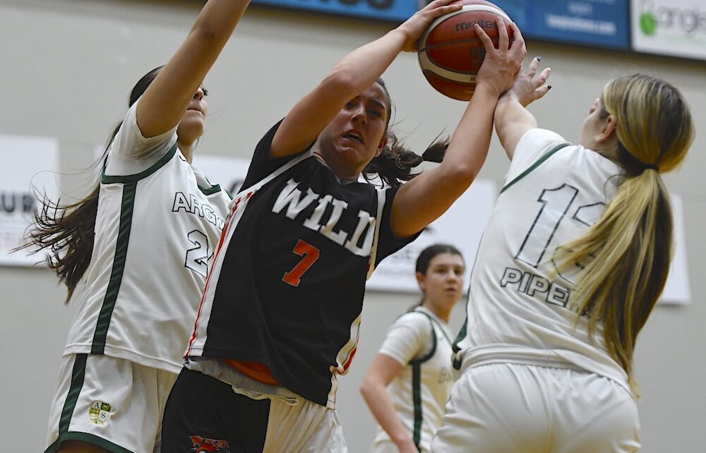 Howard Tsumura (@htsumura) on Twitter photo 02.26.25 Day 1 reports from the 2025 B.C. senior girls QUAD-A Sweet 16 opening round! tinyurl.com/3ues24nu <a href="/BCGirlsHoops75/">@BCGirlsHoops75</a> <a href="/BC4AGirlsBBall/">BC 4A Girls Basketball</a> <a href="/LangleyEvents/">Langley Events Centre</a> <a href="/argyleschool/">Argyle Secondary</a> <a href="/VKBasketball/">VKBasketball</a> <a href="/SteveEwen/">Steve Ewen</a> 02.26.25 Day 1 reports from the 2025 B.C. senior girls QUAD-A Sweet 16 opening round! tinyurl.com/3ues24nu <a href="/BCGirlsHoops75/">@BCGirlsHoops75</a> <a href="/BC4AGirlsBBall/">BC 4A Girls Basketball</a> <a href="/LangleyEvents/">Langley Events Centre</a> <a href="/argyleschool/">Argyle Secondary</a> <a href="/VKBasketball/">VKBasketball</a> <a href="/SteveEwen/">Steve Ewen</a>