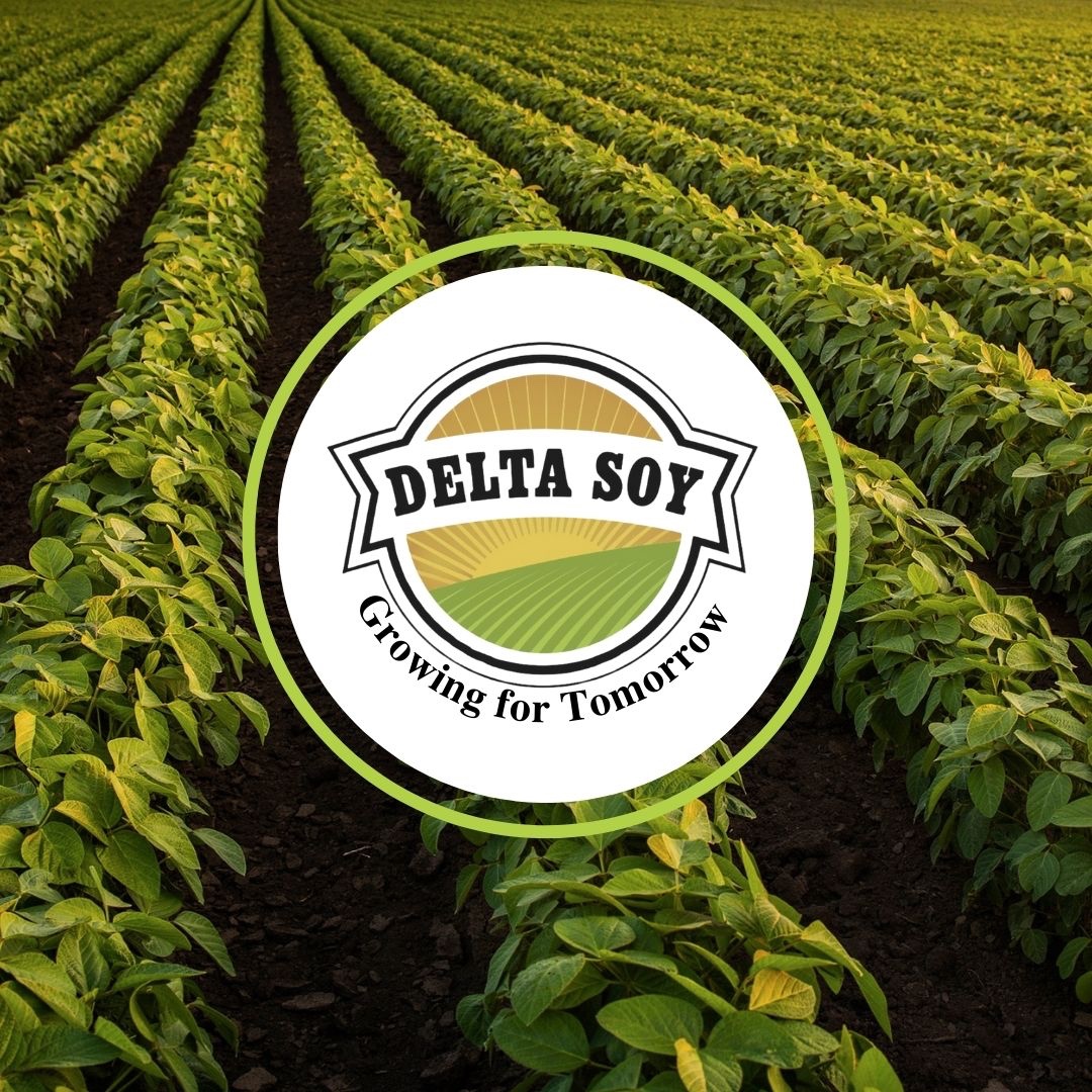 DeltaSoy's tweet image. Delta Soy is about more than soybeans—it’s about building a sustainable and profitable future for our farmers and their communities. Together, we’ll grow stronger. 💛

#DeltaSoy #FutureOfFarming