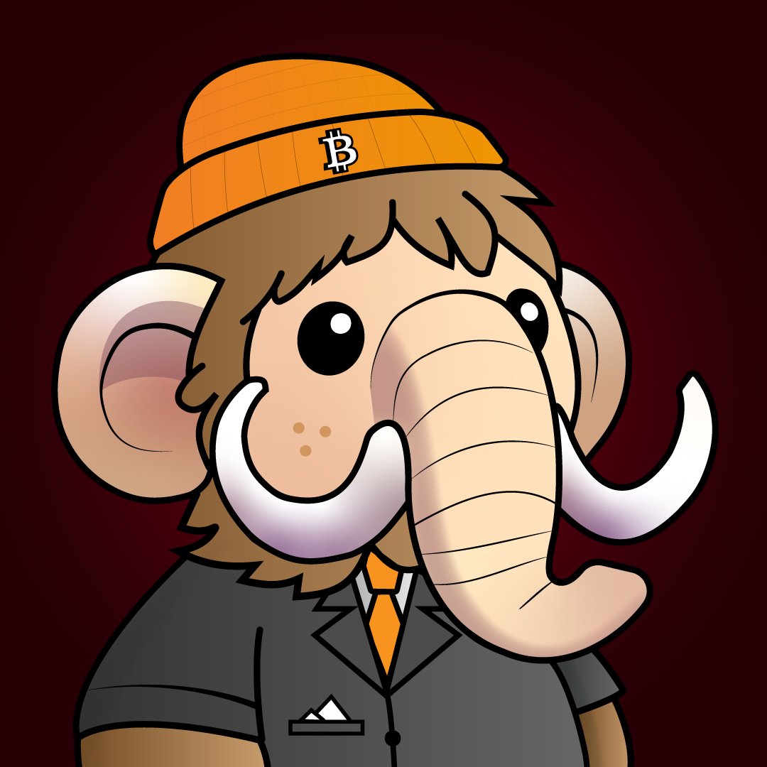ilyess ghz tweet media