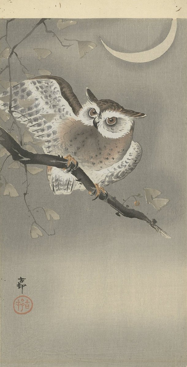 Ohara Koson (Japanese, 1877-1945): Long-eared Owl on a Ginkgo Branch