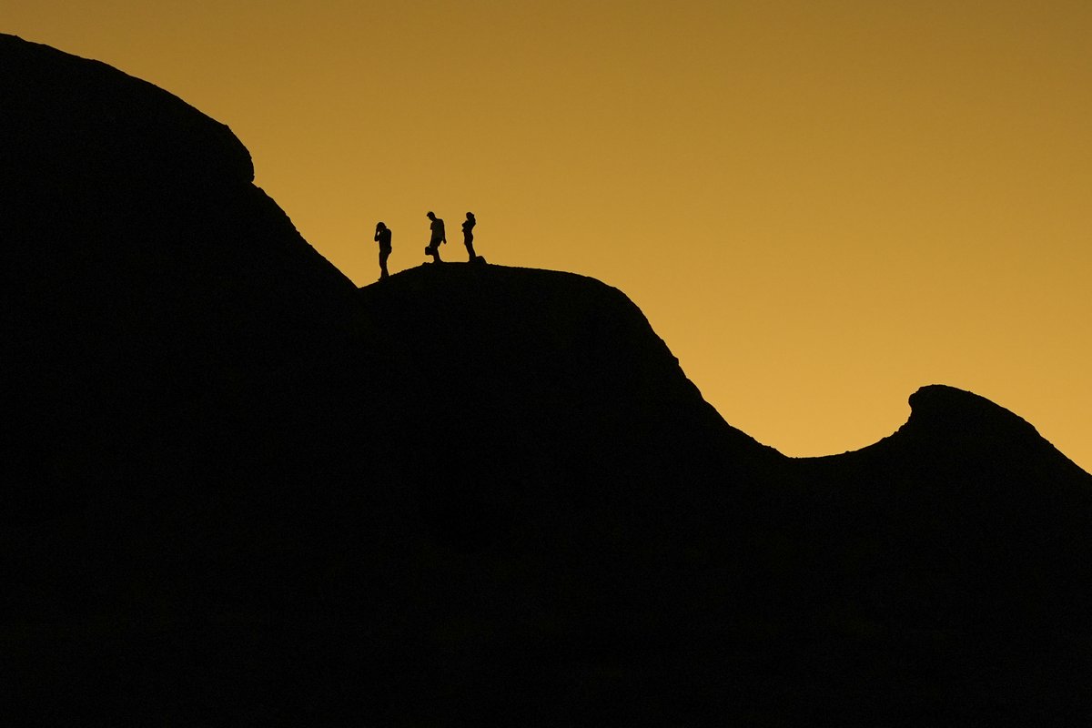 Lindsey Wasson 📸 tweet media