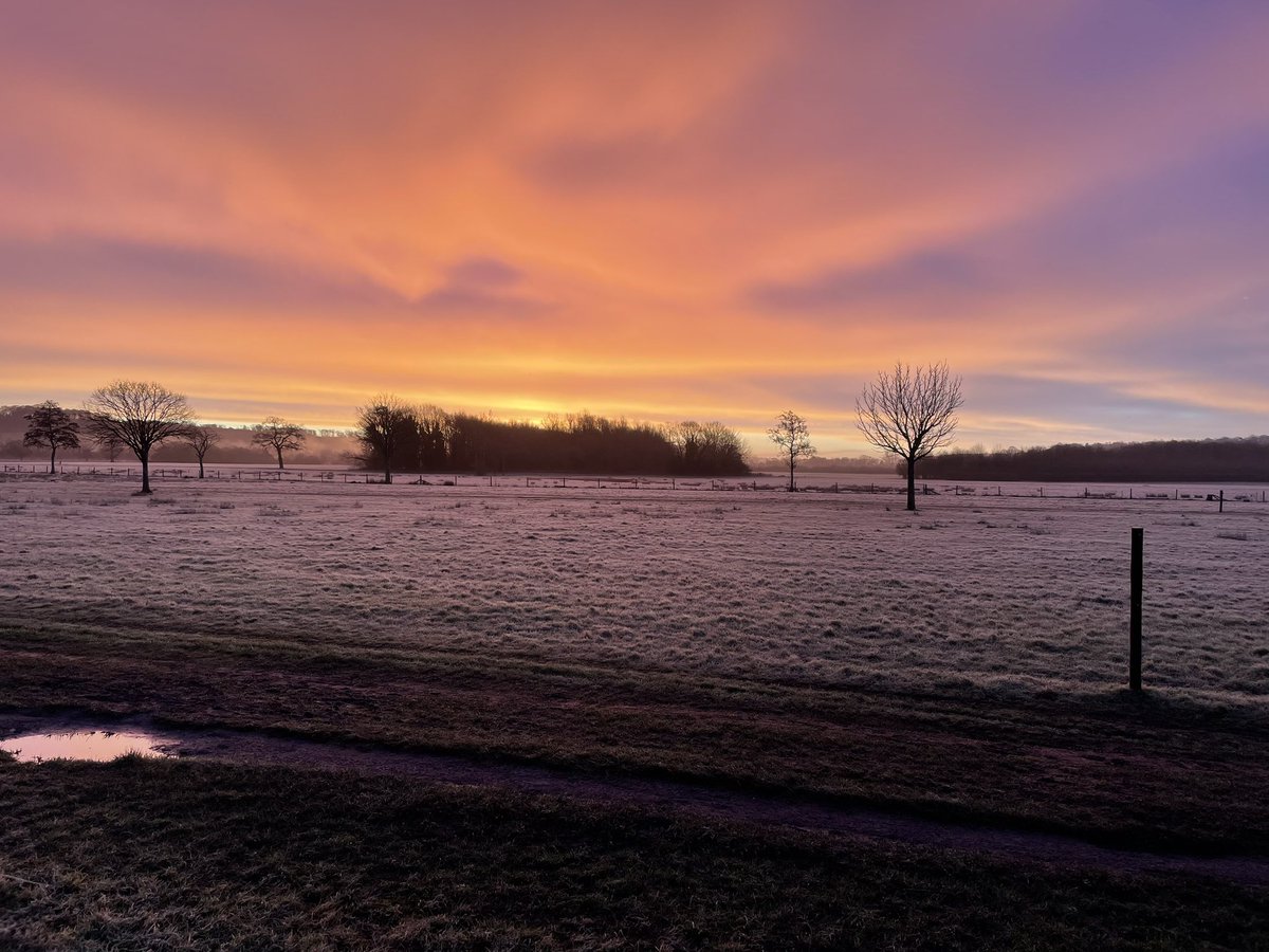 Robert Marsh tweet media