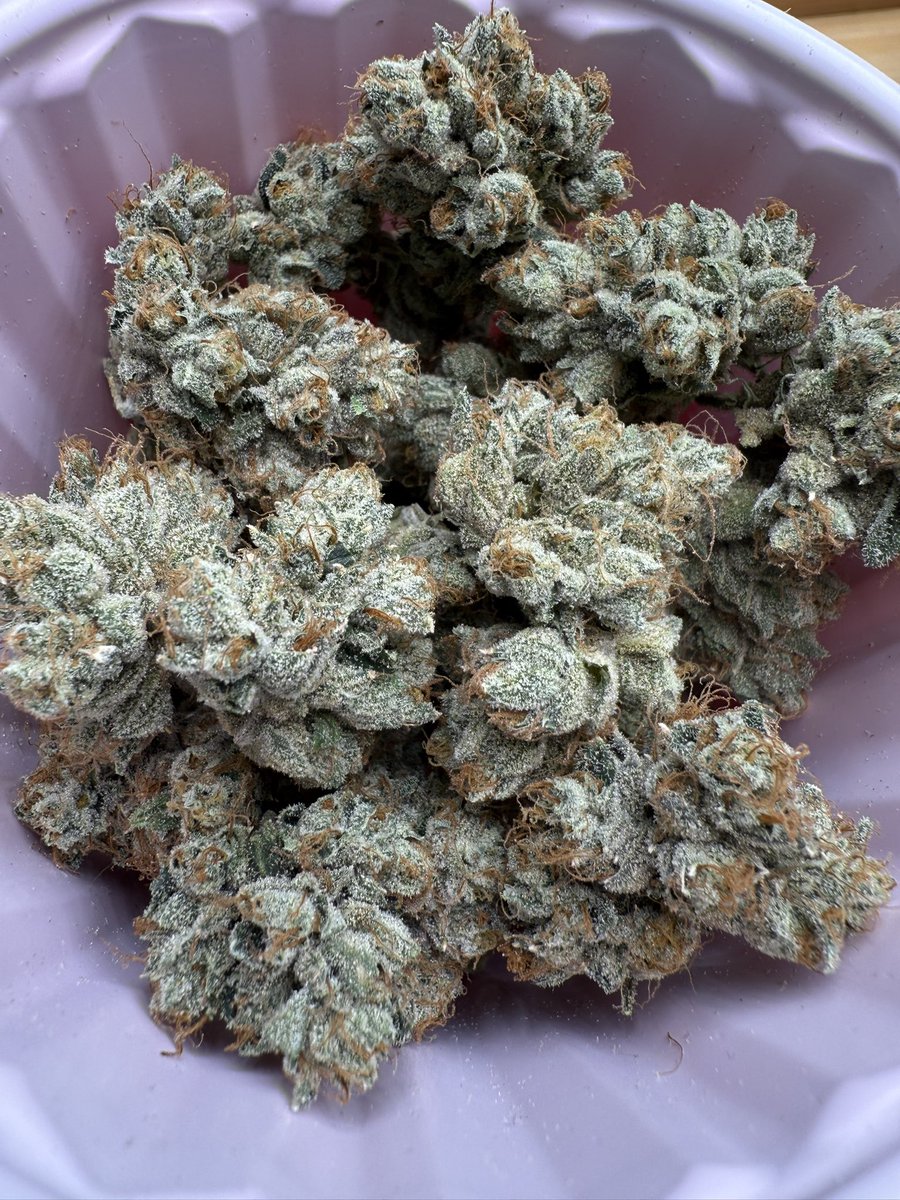TrapJesusX's tweet image. GOT OG?