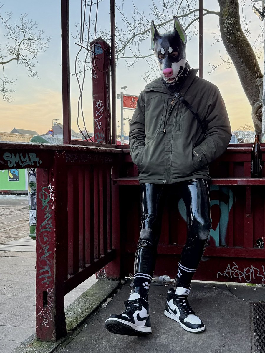 Pup Oreo 🔜 LVFC tweet media