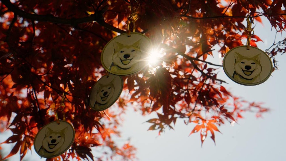 I sense fear in their eyes...they are not ready for what's to come.

WOOF!