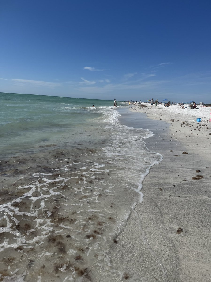 Tenacious T tweet media