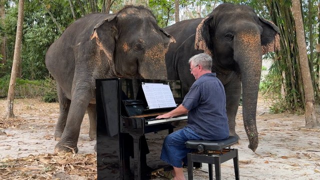 earthmattersnl's tweet photo. Piano voor olifanten. (Paul Burton) ‘Cavatina’ van Stanley Myers op piano voor twee zachtaardige vrouwtjesolifanten. Ze zongen mee en werden aanhankelijk, terwijl ze hun slurf zachtjes in elkaar…
The post Piano voor olifanten first appeared on Earth... https://t.co/ypfMSgc8XT https://t.co/CvTH18sItD