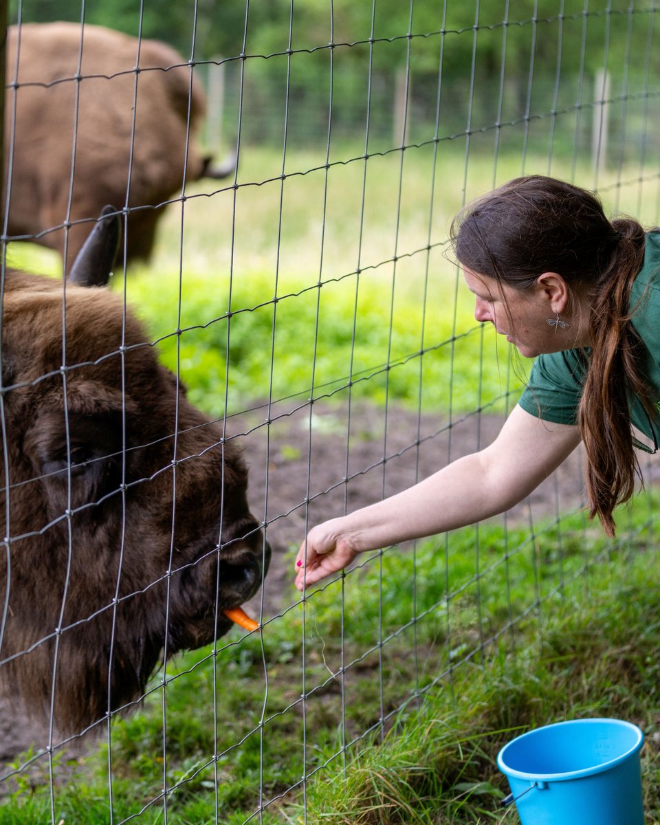 ✨ CLIENT APPRECIATION ✨

We're incredibly proud to partner with these amazing attractions and contribute to their ongoing success. Thank you for trusting us with your marketing journey.

Here's to many more years of collaboration, innovation, and shared success!