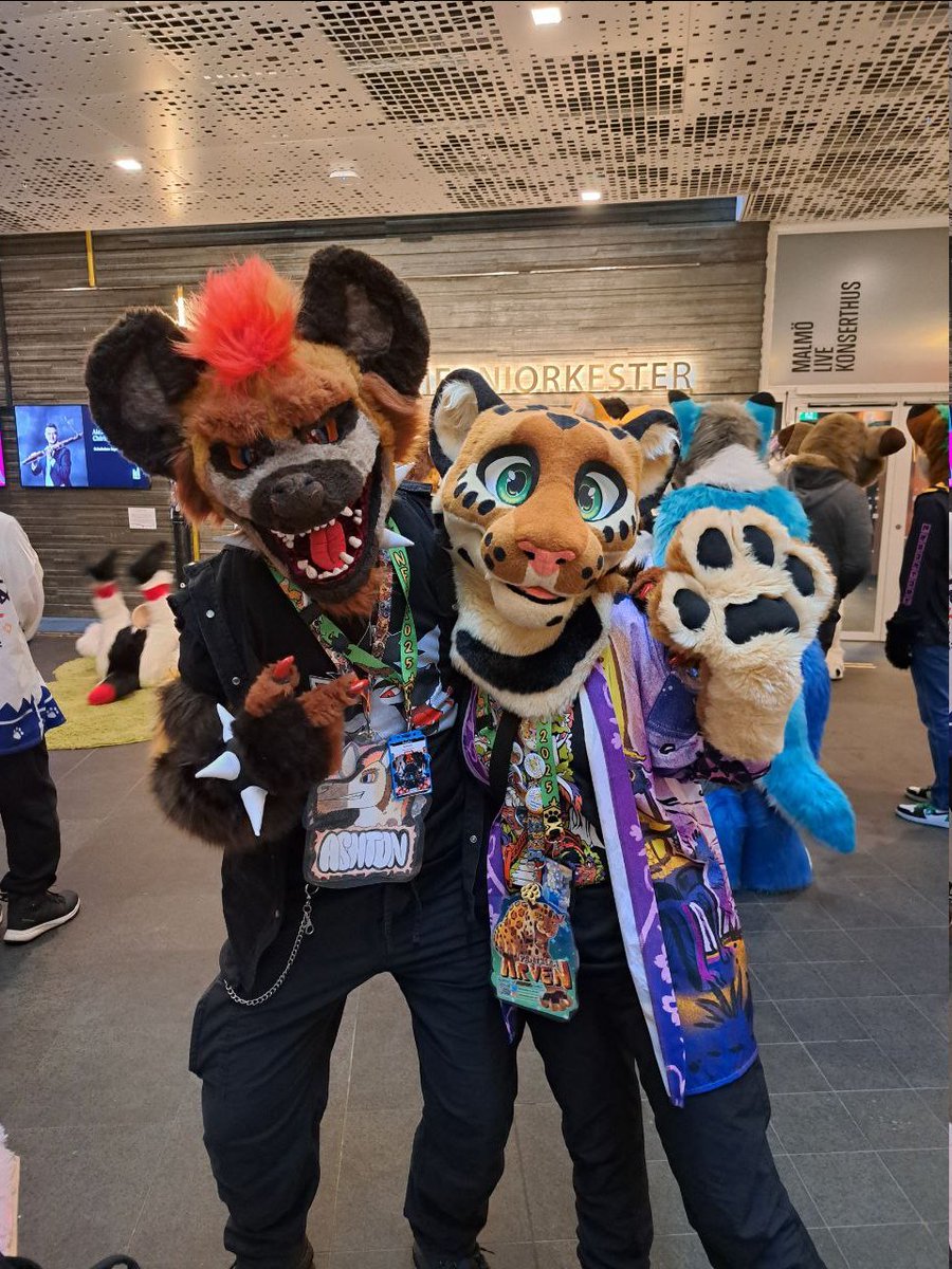 Behold the yeen who is a bean tweet media