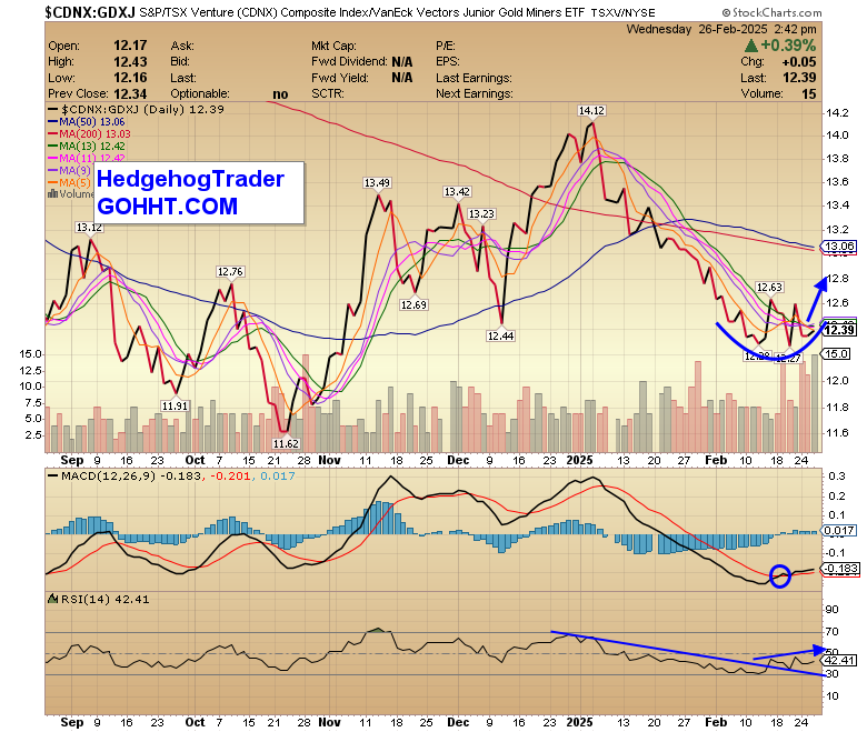HedgehogTrader's tweet photo. The Canadian Venture Exchange $CDNX is up +1.88% and leading strong (+1.44%) Gold Miners $GDXJ again, today!  President Trump looks like he's about to Make Speculation Great, Again for his Northern Neighbours!  #MSGA https://t.co/bQeAJ9y7EC