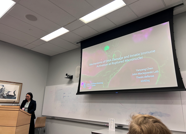 GSK Graduate School (@gskgradschool) on Twitter photo Congratulations to GSK PhD student <a href="/YanyangChen4/">Yanyang Chen</a> in the lab of <a href="/J_Maciejowski/">John Maciejowski</a> for defending her thesis entitled "Mechanisms of DNA Damage and Innate Immune Activation at Ruptured Micronuclei." Congratulations to GSK PhD student <a href="/YanyangChen4/">Yanyang Chen</a> in the lab of <a href="/J_Maciejowski/">John Maciejowski</a> for defending her thesis entitled "Mechanisms of DNA Damage and Innate Immune Activation at Ruptured Micronuclei."