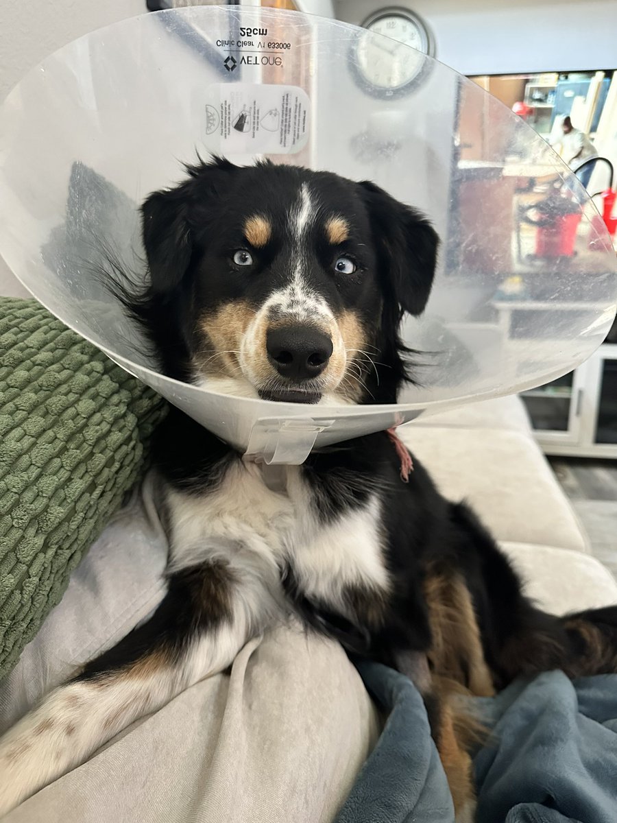 Happy boy is doing great 🩷