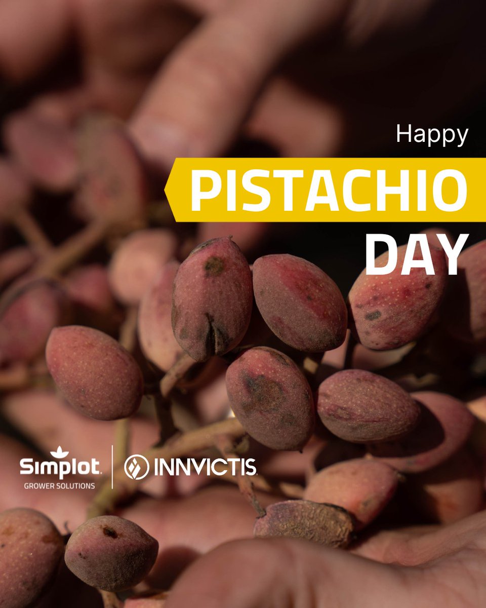 Happy National Pistachio Day! 🙌

Did you know pistachios are one of the few nuts that naturally open when they ripen, often referred to as the "smiling nut" because of their happy appearance? 😊 Thank you pistachio growers for all you do!