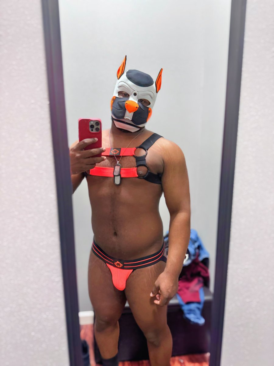 Puppy ready for playtime! Does this jock make my butt look big? 🐶