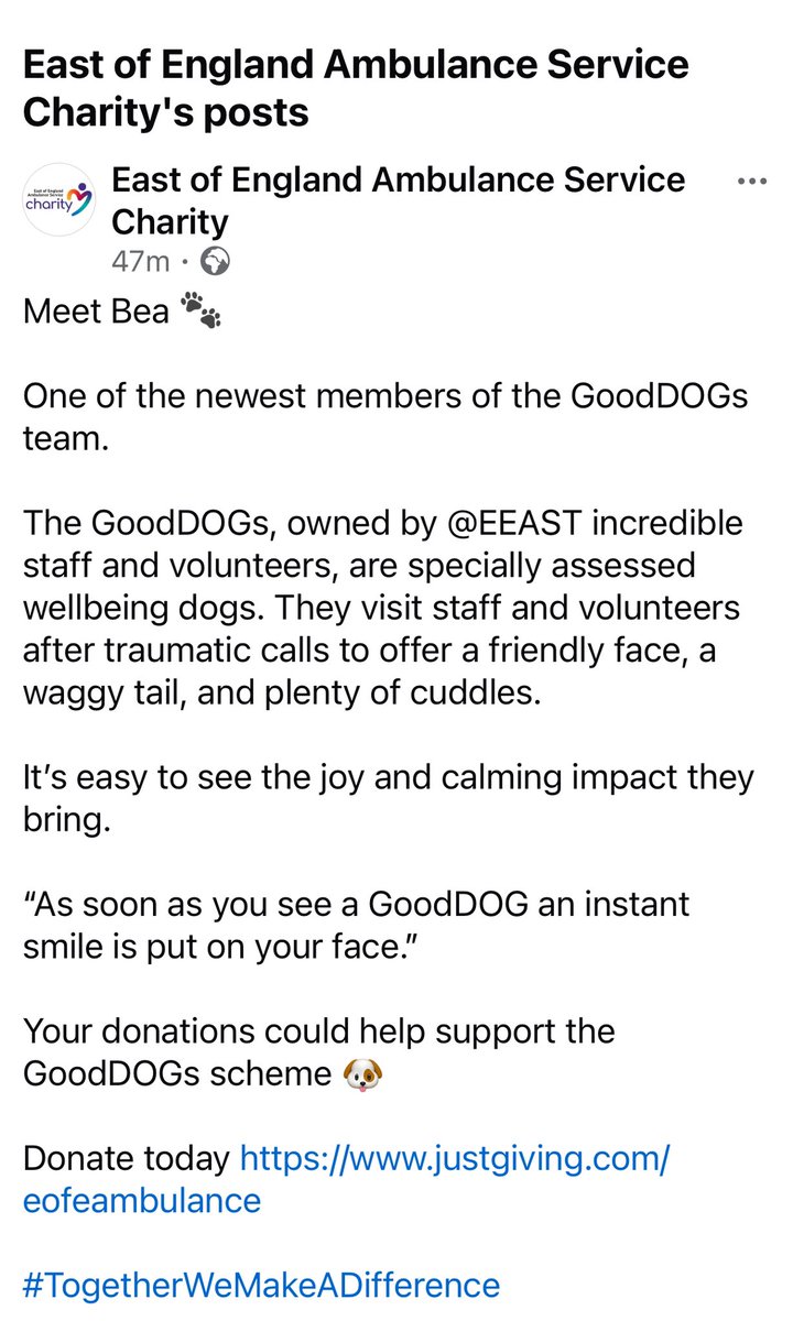 vicki humphrey (@bishy78) on Twitter photo Our Queen of the house ….. Bea is a Good DOG … for <a href="/EastEnglandAmb/">EEAST Ambulance Service</a> … and she is ready to come and receive love fun and hugs from staff who may just need that little pick me up… <a href="/NHSEastEngland/">NHS East of England</a> Our Queen of the house ….. Bea is a Good DOG … for <a href="/EastEnglandAmb/">EEAST Ambulance Service</a> … and she is ready to come and receive love fun and hugs from staff who may just need that little pick me up… <a href="/NHSEastEngland/">NHS East of England</a>