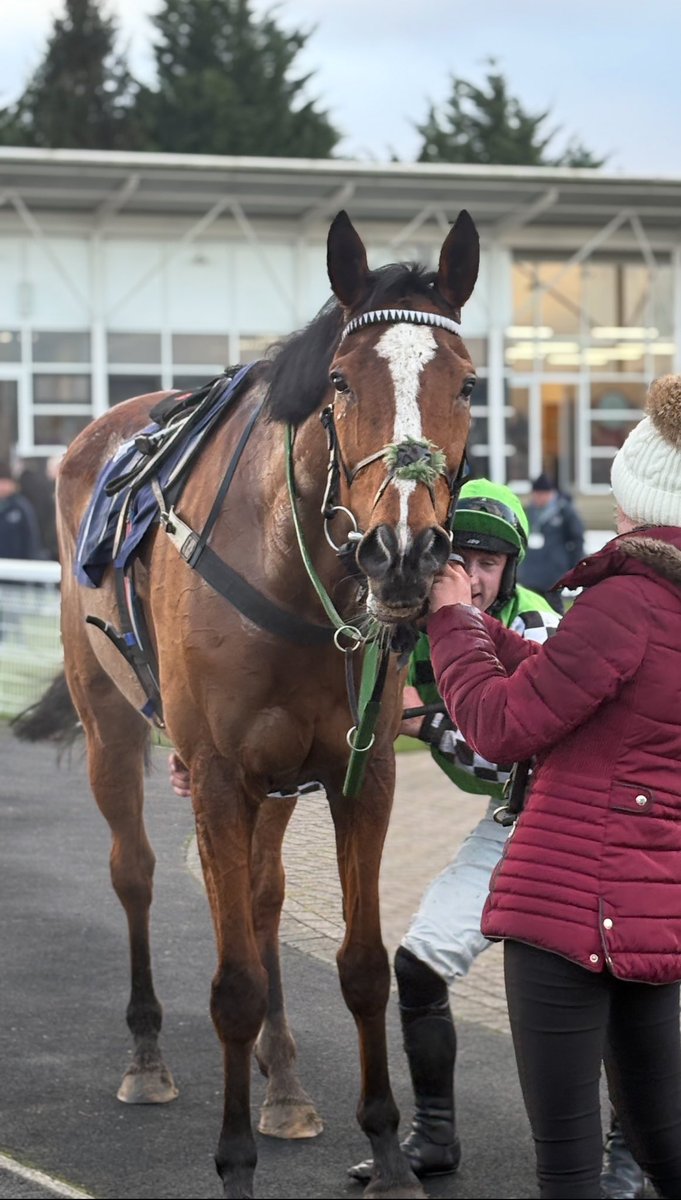 FluffyPickle's tweet photo. Congratulations on Ladronne’s win today @TerryDBingley x https://t.co/xtMx8zdcOg