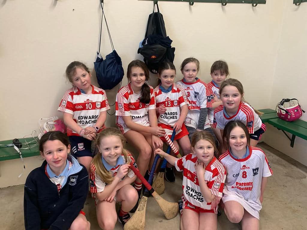 SNMFerns1's tweet photo. Over the last few weeks some of our students have been participating in blitz days for 2nd, 3rd and 4th classes. They were a great chance to get game time for our younger classes and were enjoyed by all! Well done to all involved 👏
@ActiveFlag 
@FernsGAA https://t.co/guiZpM5vWT