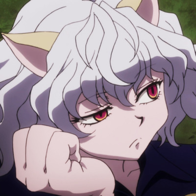 Daily Neferpitou (@daily_pitou) on Twitter photo 