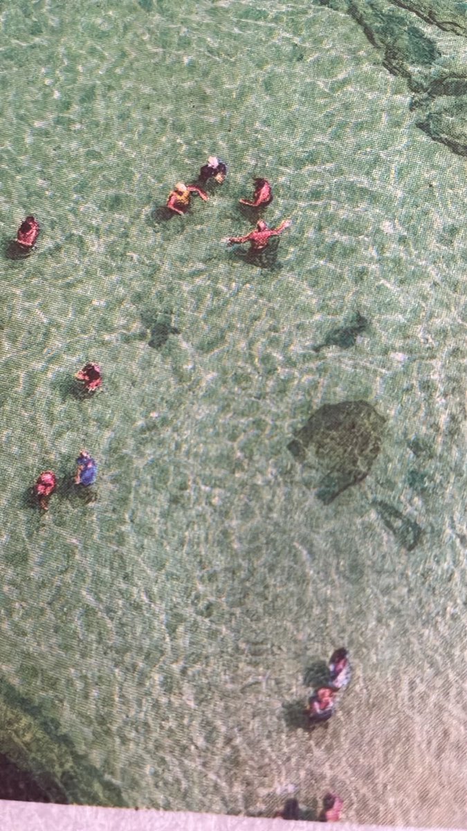 LolaMlgolola's tweet image. Águas cristalinas hoje no Rio de Janeiro #Arpoador