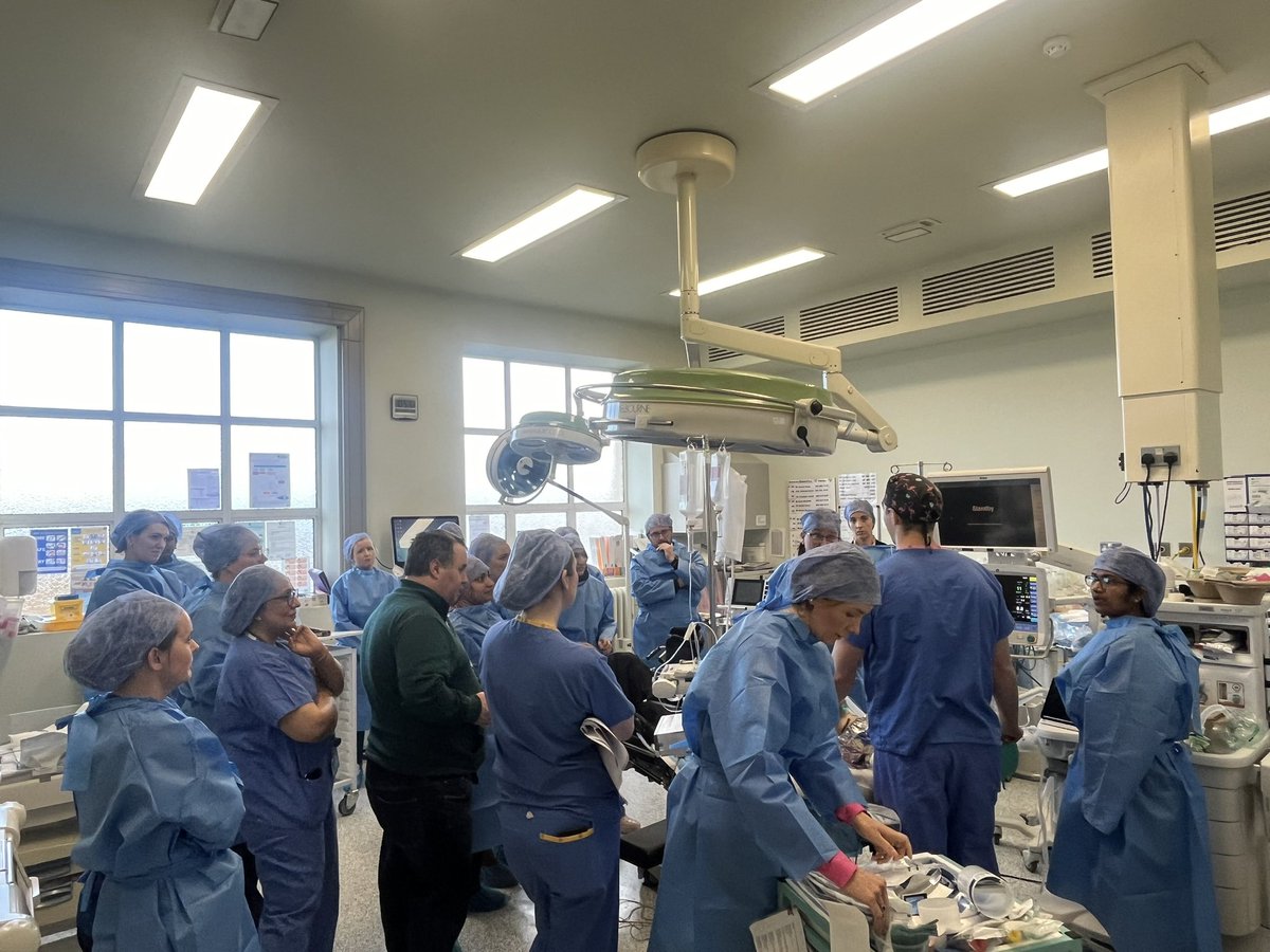 Bernadette Toolan tweet media