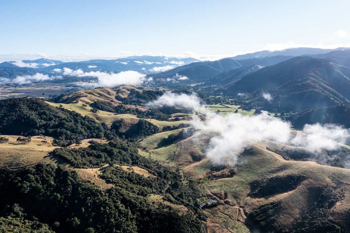 Beautiful morning over at the new farm block, captured with the drone as the fog was rising. We’re looking forward to more activities here including native restoration, new farm opportunities and outdoor education 🌿

#mangaroafarms #regenerativeagriculture #nzfarming