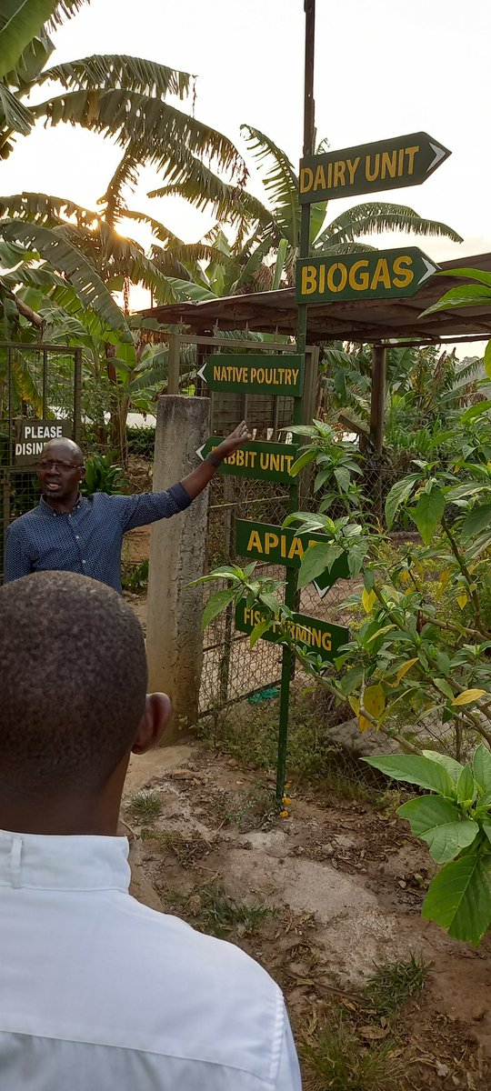 Cielo Ecofarm and agribusiness skilling centre hosted fellow <a href="/FondazioneAVSI/">Fondazione AVSI</a> @TheSAYproject private sector partners in Western 🇺🇬 during the safeguarding training in Bushenyi 🇺🇬 #Benchmarking #sustainability 
<a href="/NLinUganda/">Embassy of the Netherlands in Uganda</a> <a href="/BenNaturinda/">NaturindaBen</a> 
#BestPractices #Transforming #communities