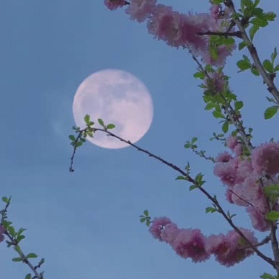 The Flying Child (CIC) (@theflyingchild) on Twitter photo Today I had the opportunity to share the impacts of Child Sexual Abuse and Technology Assisted #CSA, for the development of professional training. TACSA is an aspect of my abuse I mentioned but chose not to focus on in my book #TheFlyingChildStory. Today I found a way to Today I had the opportunity to share the impacts of Child Sexual Abuse and Technology Assisted #CSA, for the development of professional training. TACSA is an aspect of my abuse I mentioned but chose not to focus on in my book #TheFlyingChildStory. Today I found a way to