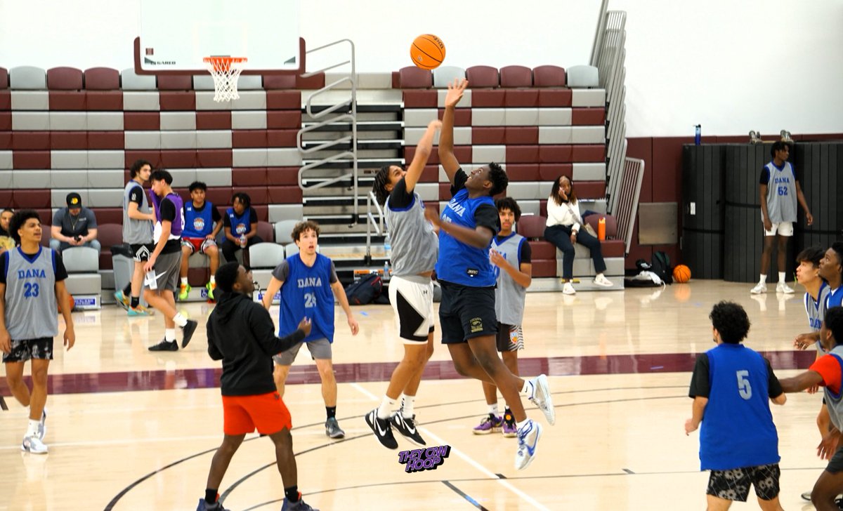 They Can Hoop tweet media