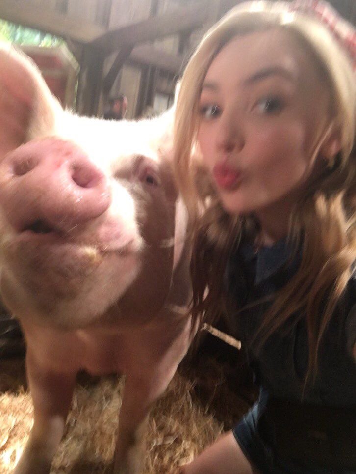 ᅟᅟᅟ ‍ ⌇ ‍ 𝙲͟𝙾͟𝚁͟𝚁͟𝚄͟𝙿͟𝚃͟𝙴͟𝙳 ‍ ‍ ᶜᵒᵇʳᵃ tweet media