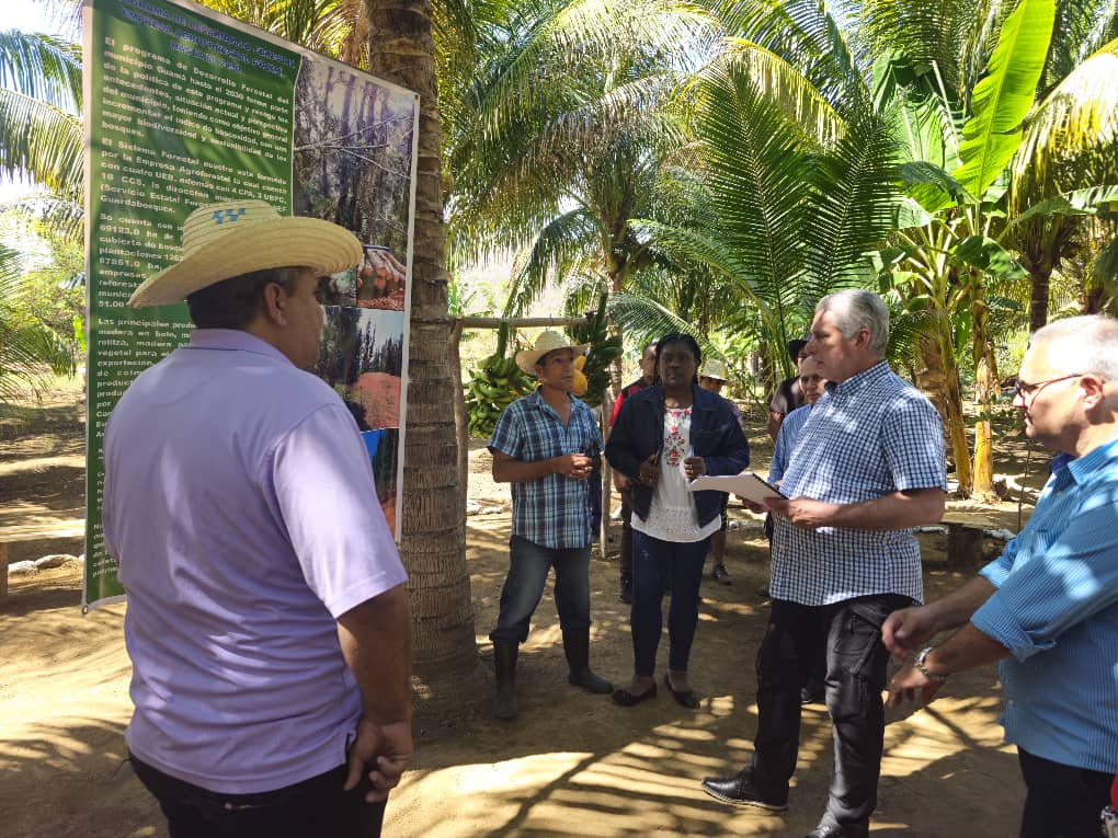 El Primer Secretario del CCPCC y presidente 🇨🇺, Miguel Díaz-Canel Bermúdez, y el miembro del Buró Político y secretario de Organización del CCPCC, Roberto Morales O., visitaron la Finca El Cocal, esencial para el desarrollo agrícola y forestal de Guamá.
#SantiagoDeCuba