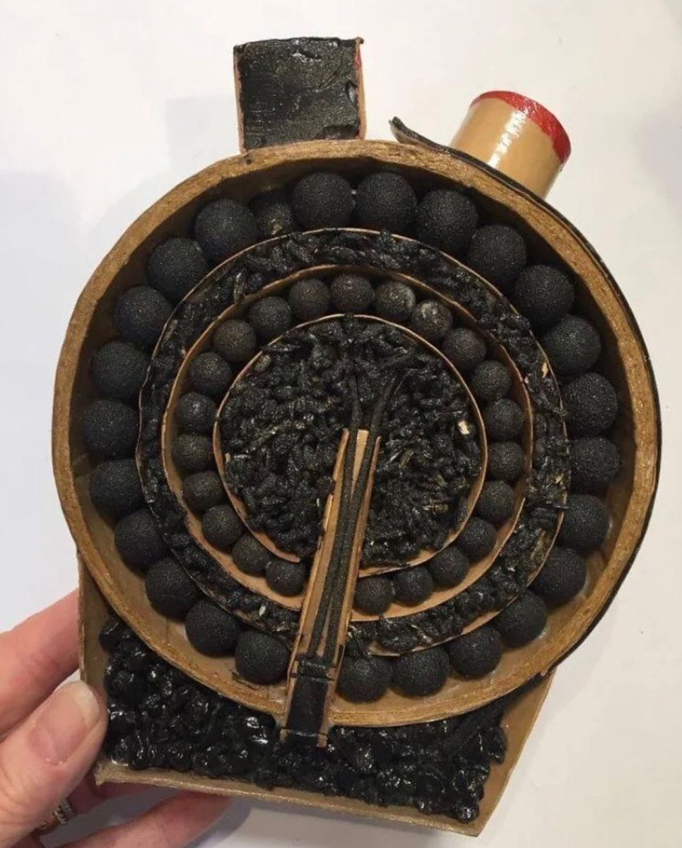 The inside of a shell looks like this