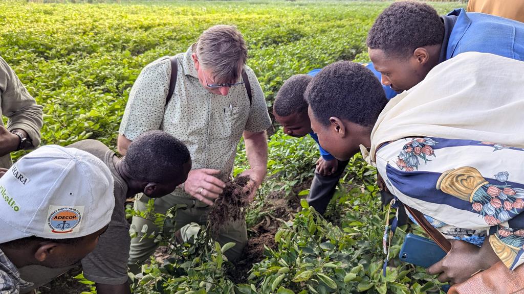 Farmers' Potato Academy (FPA) in Rwanda tweet media