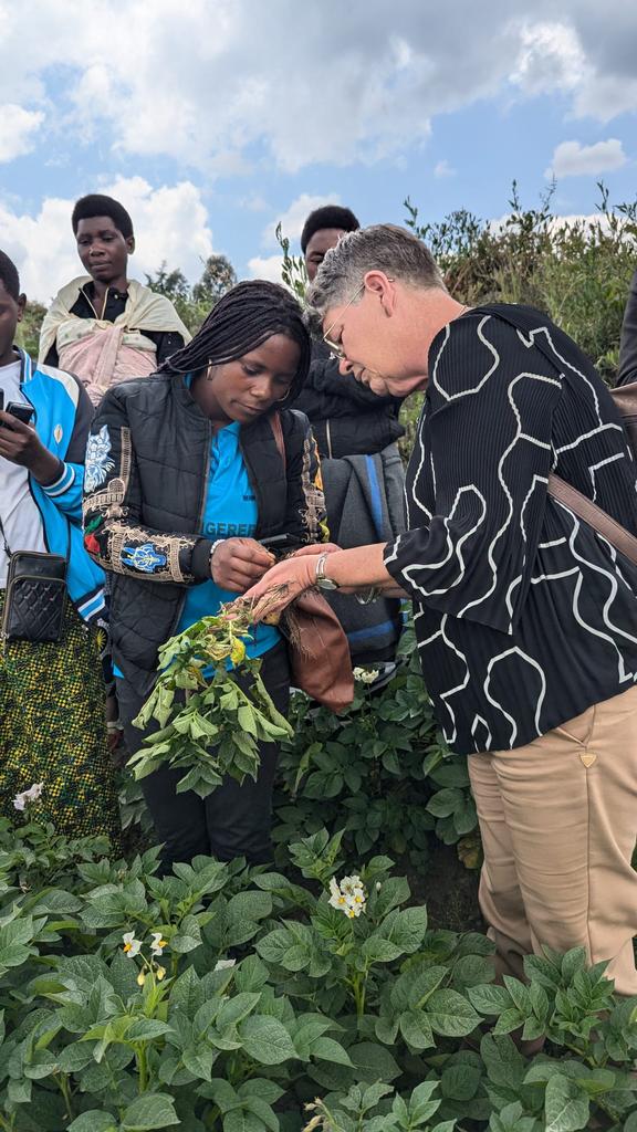 Farmers' Potato Academy (FPA) in Rwanda tweet media
