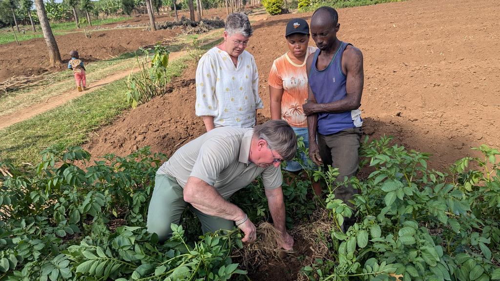 During his holidays in Rwanda <a href="/CrynsPaul/">Paul Cryns</a> from <a href="/Agripool_advice/">Agriterra Agripool</a> did not forget to pay a field visit to <a href="/PotatoFpa/">Farmers' Potato Academy (FPA) in Rwanda</a> members in <a href="/MusanzeDistrict/">Musanze District</a> &amp; <a href="/BureraDistrict/">Burera District</a>.