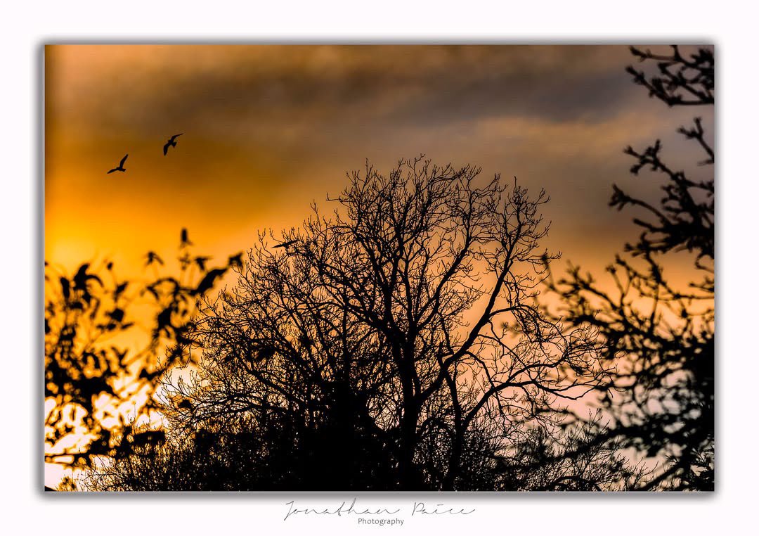 Jonathan Paice Photography tweet media