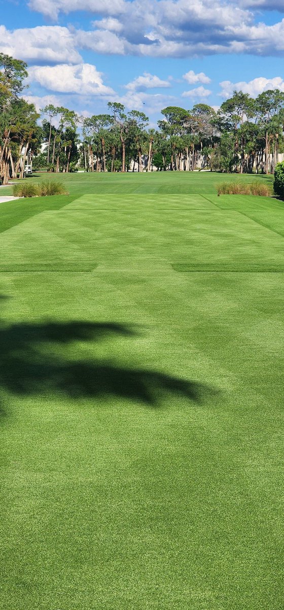 Since we never ever hear from <a href="/turfmonkeyboy/">john reilly</a> on X anymore, here's a Passy pic in his honor....