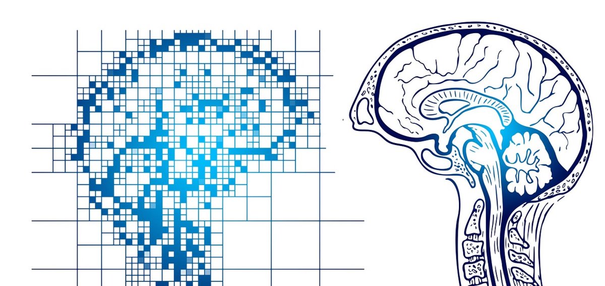 From the Labs at Baylor College of Medicine (@bcmfromthelabs) on Twitter photo New #AI approach accelerates the identification of #genes contributing to neurodevelopmental conditions such as #autismSpectrumDisorder, #epilepsy and #developmentalDelay. <a href="/RyanDhindsa/">Ryan Dhindsa</a> <a href="/awzoghbi/">Anthony Zoghbi</a> et al. <a href="/AJHGNews/">AJHG</a> <a href="/bcmhouston/">BCMHouston</a> <a href="/bcmgenetics/">BCM Department of Molecular and Human Genetics</a> <a href="/TCHResearchNews/">TCHResearchNews</a> bcm.edu/news/ai-accele… New #AI approach accelerates the identification of #genes contributing to neurodevelopmental conditions such as #autismSpectrumDisorder, #epilepsy and #developmentalDelay. <a href="/RyanDhindsa/">Ryan Dhindsa</a> <a href="/awzoghbi/">Anthony Zoghbi</a> et al. <a href="/AJHGNews/">AJHG</a> <a href="/bcmhouston/">BCMHouston</a> <a href="/bcmgenetics/">BCM Department of Molecular and Human Genetics</a> <a href="/TCHResearchNews/">TCHResearchNews</a> bcm.edu/news/ai-accele…
