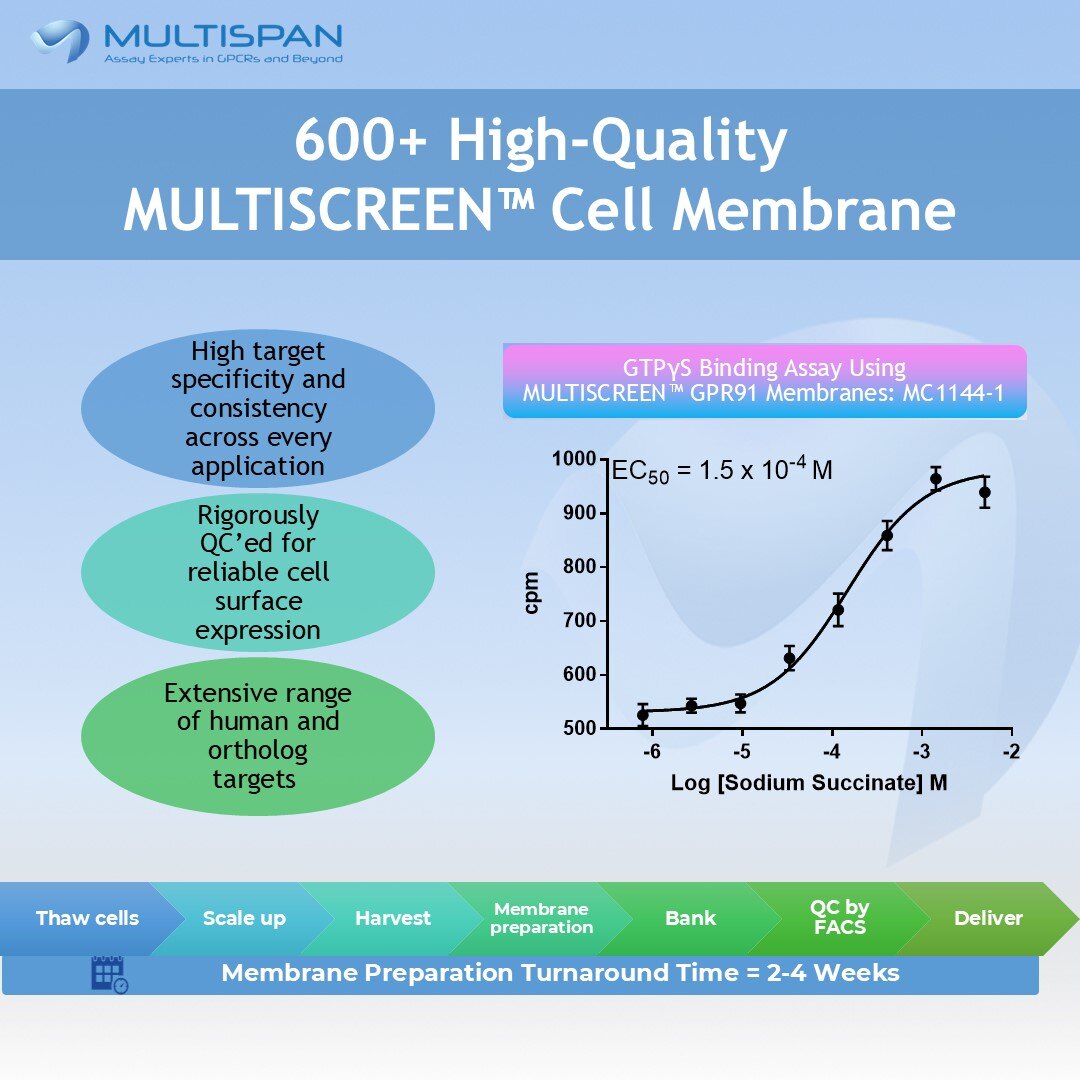 Unlock excellence with 600+ MULTISCREEN™ cell membranes for robust HTS assays, consistency, and fast results. Unbeatable turnaround speed — Get what you need, fast! hubs.la/Q038tHRv0 #Multispan #GPCR #drugdiscovery #research
