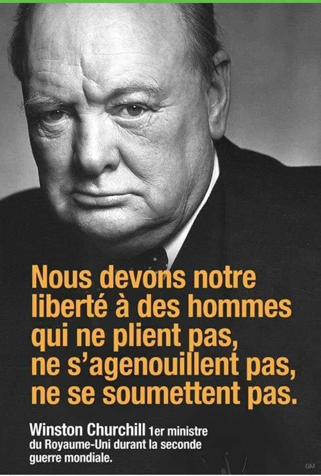 Jay Mocking tweet media