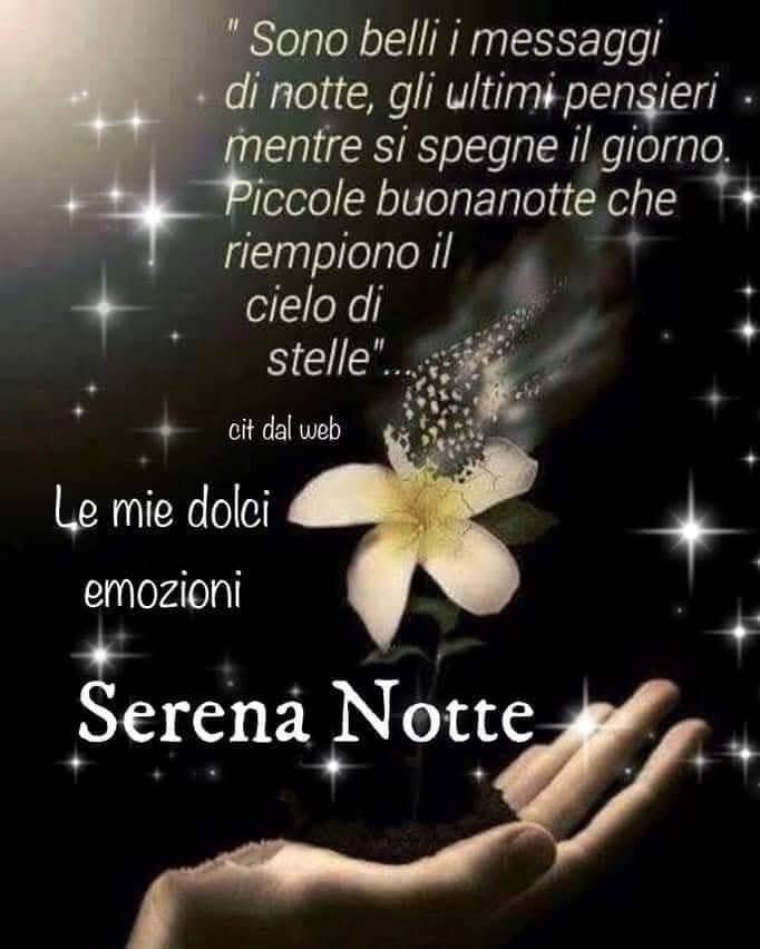 RITABIANCHi56 tweet media