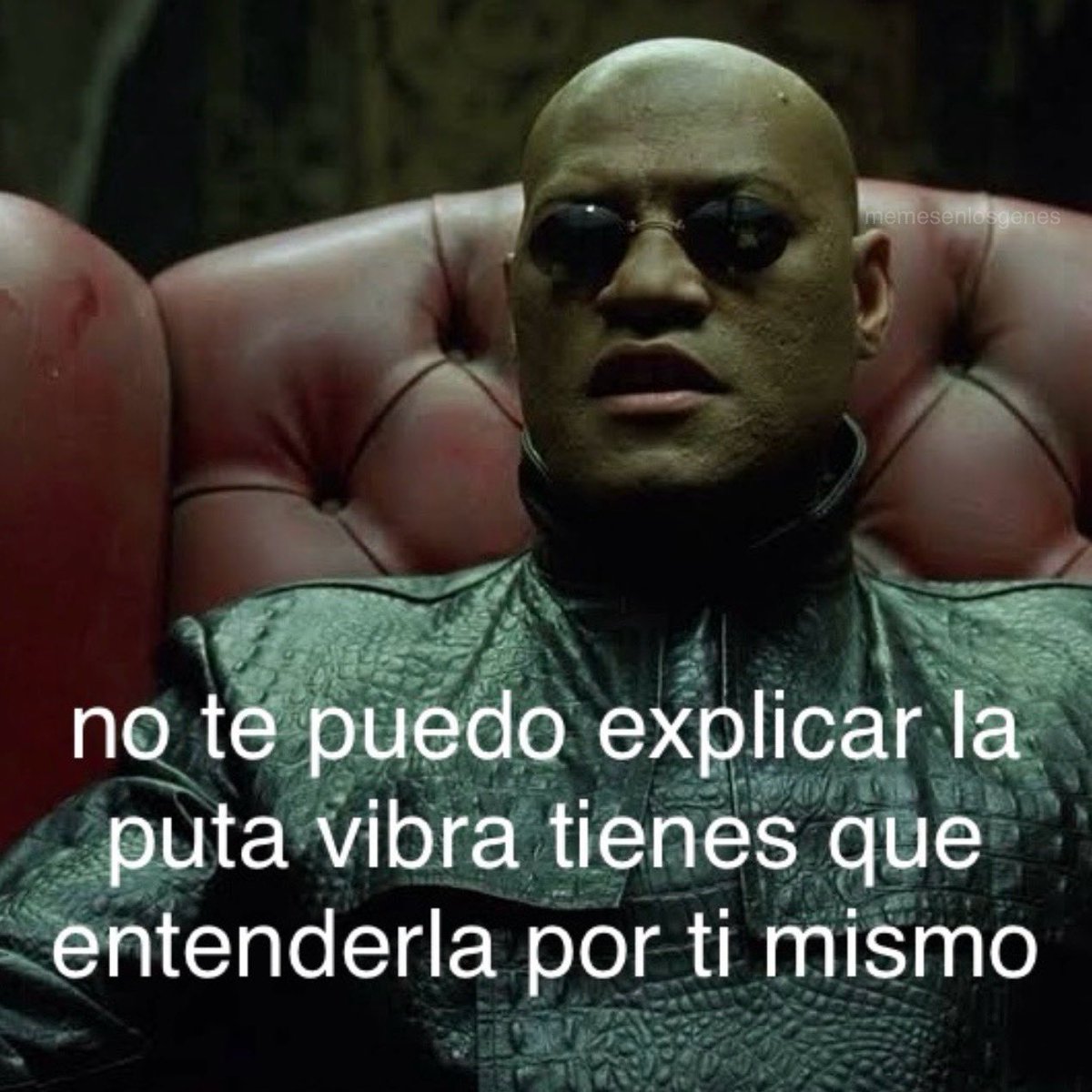 memesenlosgenes (@memesenlosgenes) on Twitter photo 