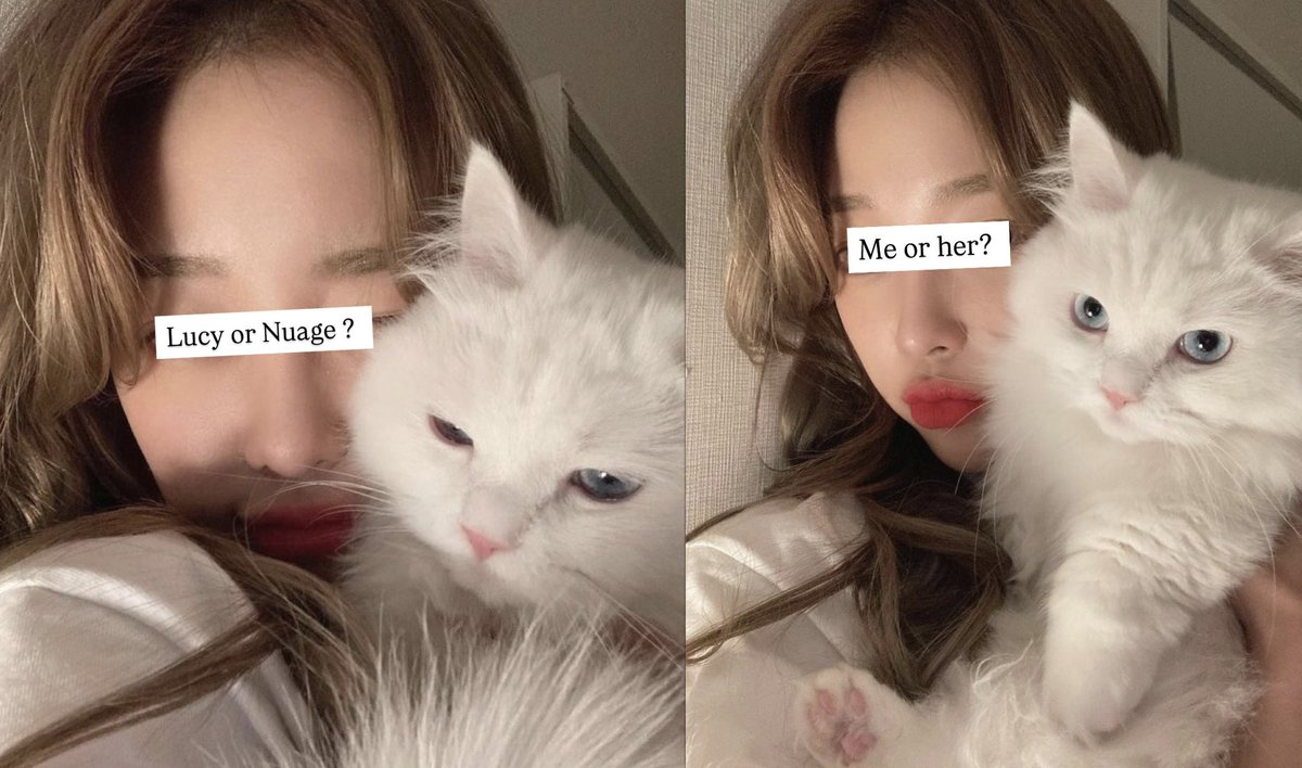 Since everyone are in silence mode I will be coquette with my Nuage 🫣 WE WANT BE COQUETTE 🩷 
Do you want rub me or her? 

A : Lucy 
B : Nuage