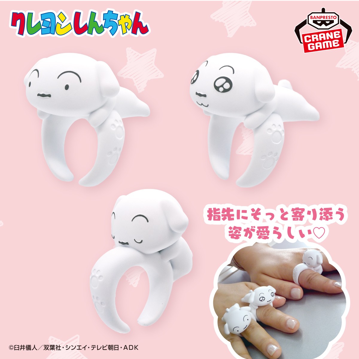 💛🐶シロのかわいい指輪が登場💍💛／ 指先にそっと寄り添う姿が