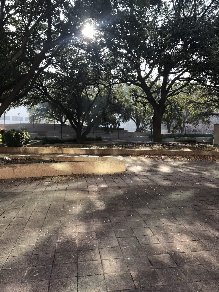 Yesterday LLG Attorney <a href="/EScottLloyd/">Scott Lloyd</a> had the opportunity to argue our Arzamendi v. Hegseth case before the Fifth Circuit, which was hosted by <a href="/TAMULawSchool/">Texas A&M School of Law</a>. We want to thank the school and add it was a wonderful experience with the law students in attendance!

A pretty area, too!