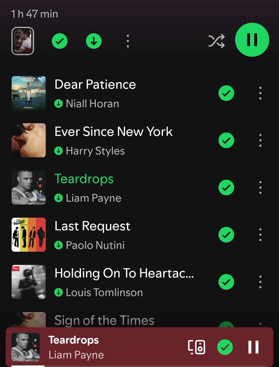 LHealer28's tweet photo. I guess this “on repeat” is the sign of our times.💔❤️‍🩹
#Teardrops #LiamPayneAppeal
#RespectLiam #DignifiedSilence https://t.co/UZiquZezhr