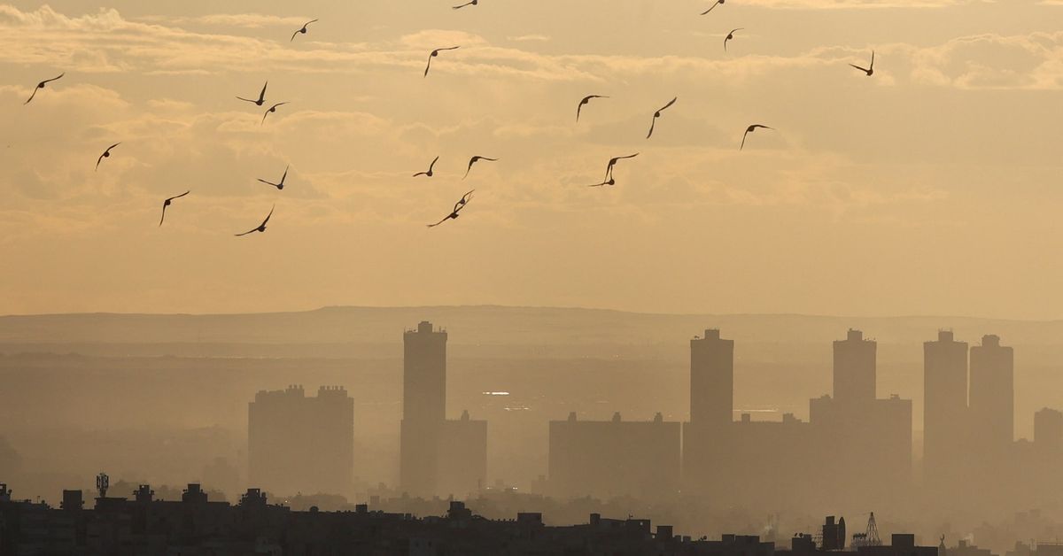 Egypt to raise monthly minimum wages for public sector workers reut.rs/3XmyMXN