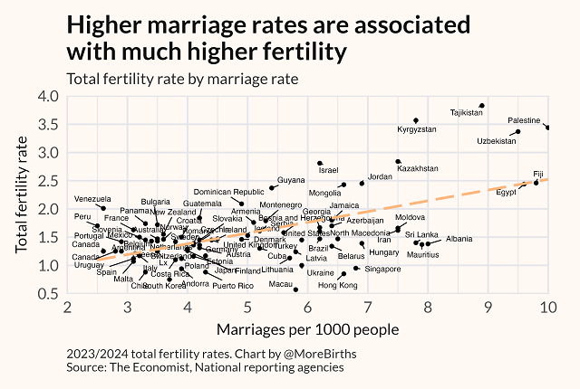 More Births tweet media