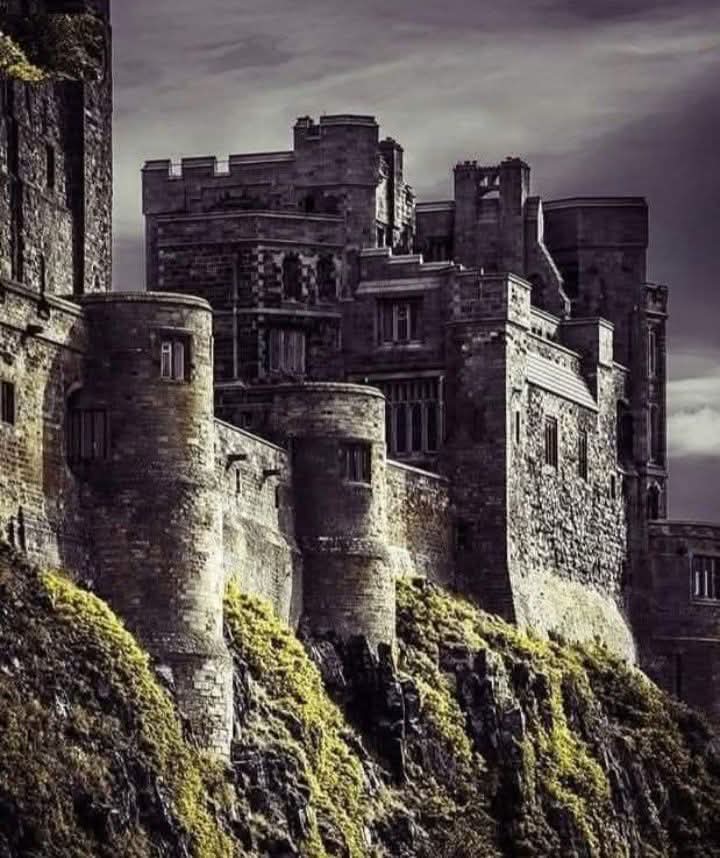 Dr Peter Caddick-Adams #StandwithUkraine tweet media