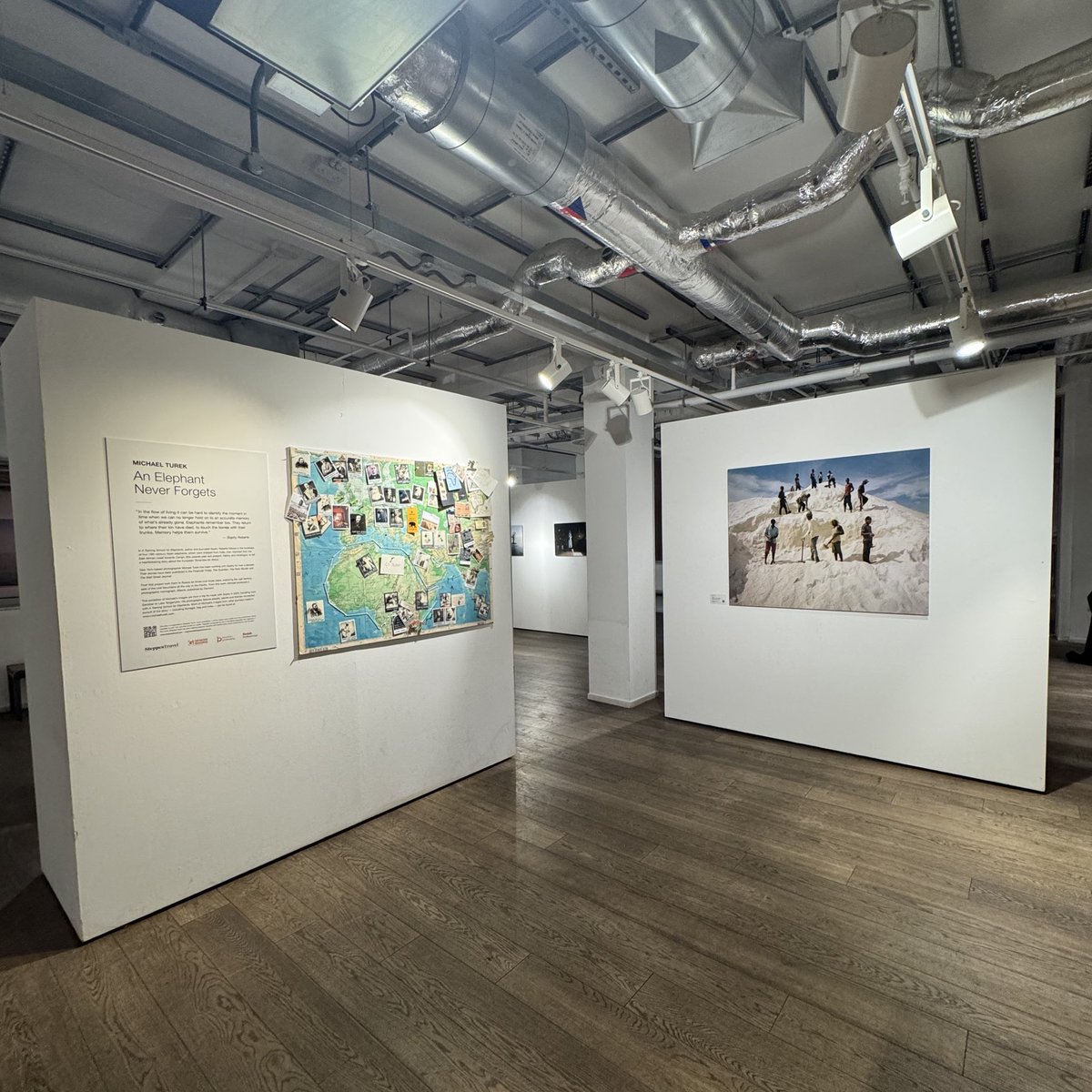 Hannah Winter tweet media