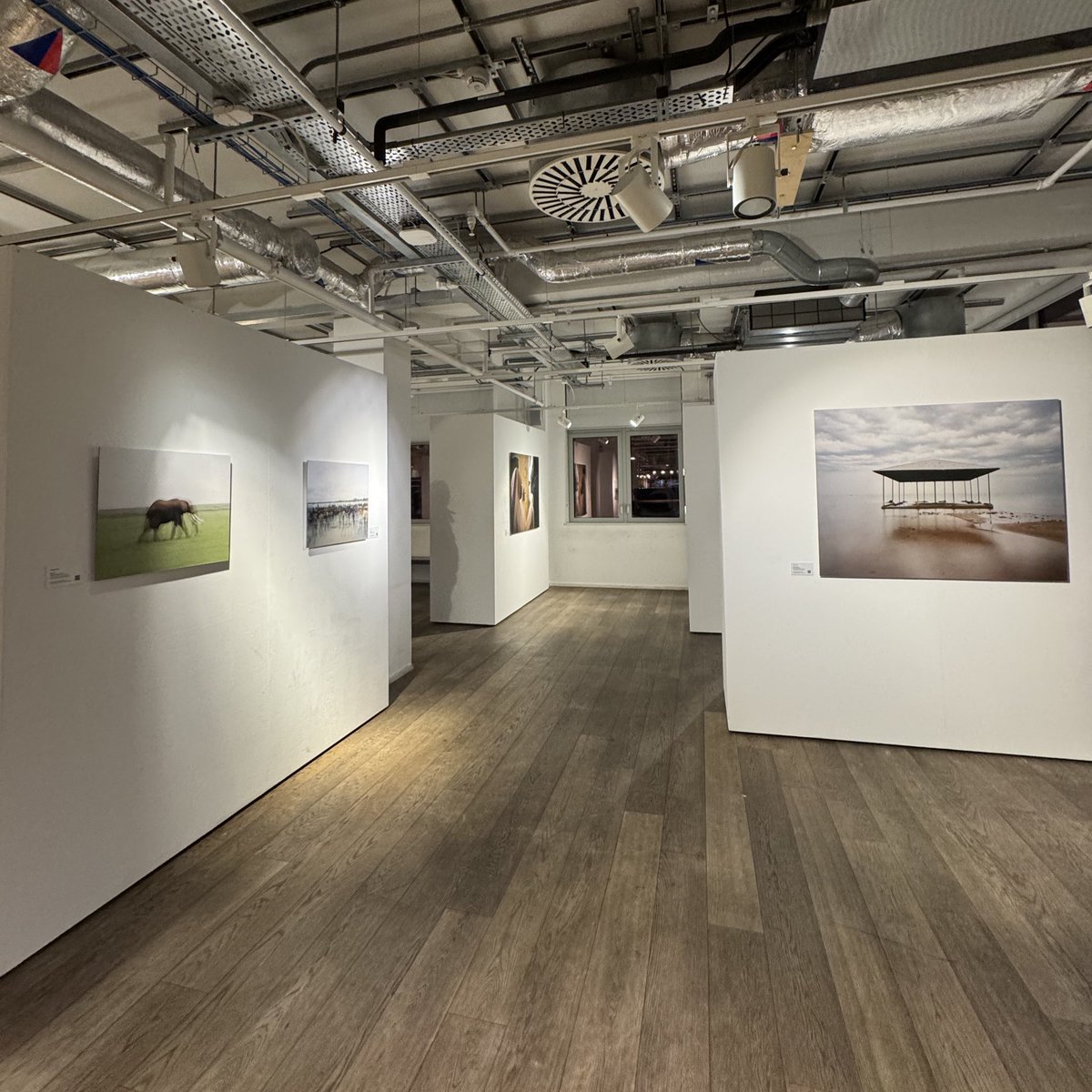 Hannah Winter tweet media